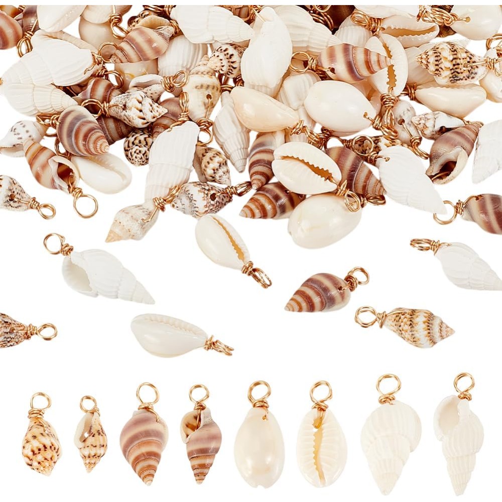 Jewelry Making Degree - 100pcs 4 Styles Natural Shell Charms